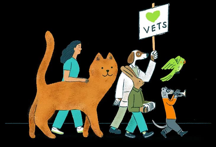 Illustration of a Vet walking with animals.